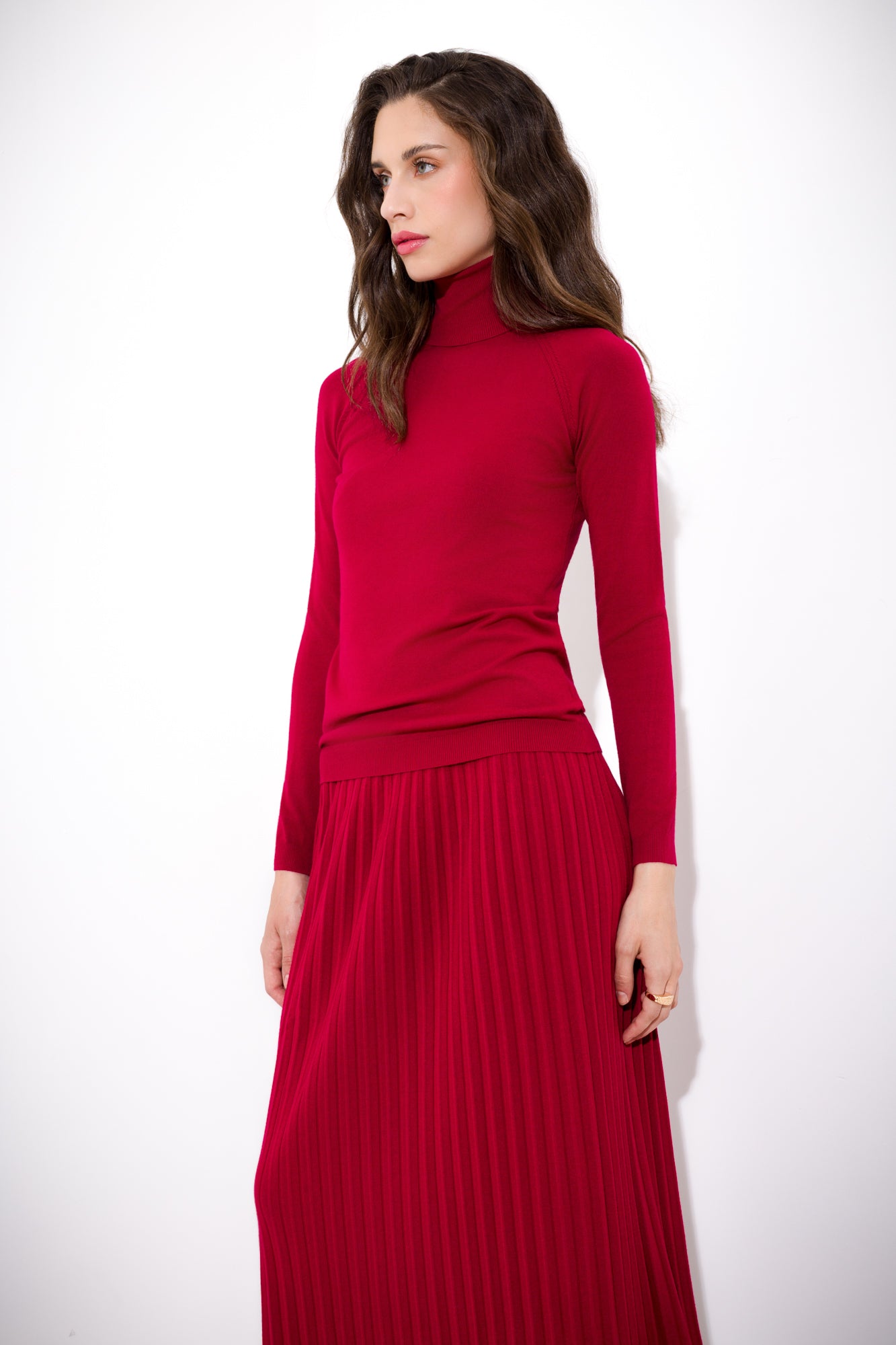 Ribbed turtleneck sweater