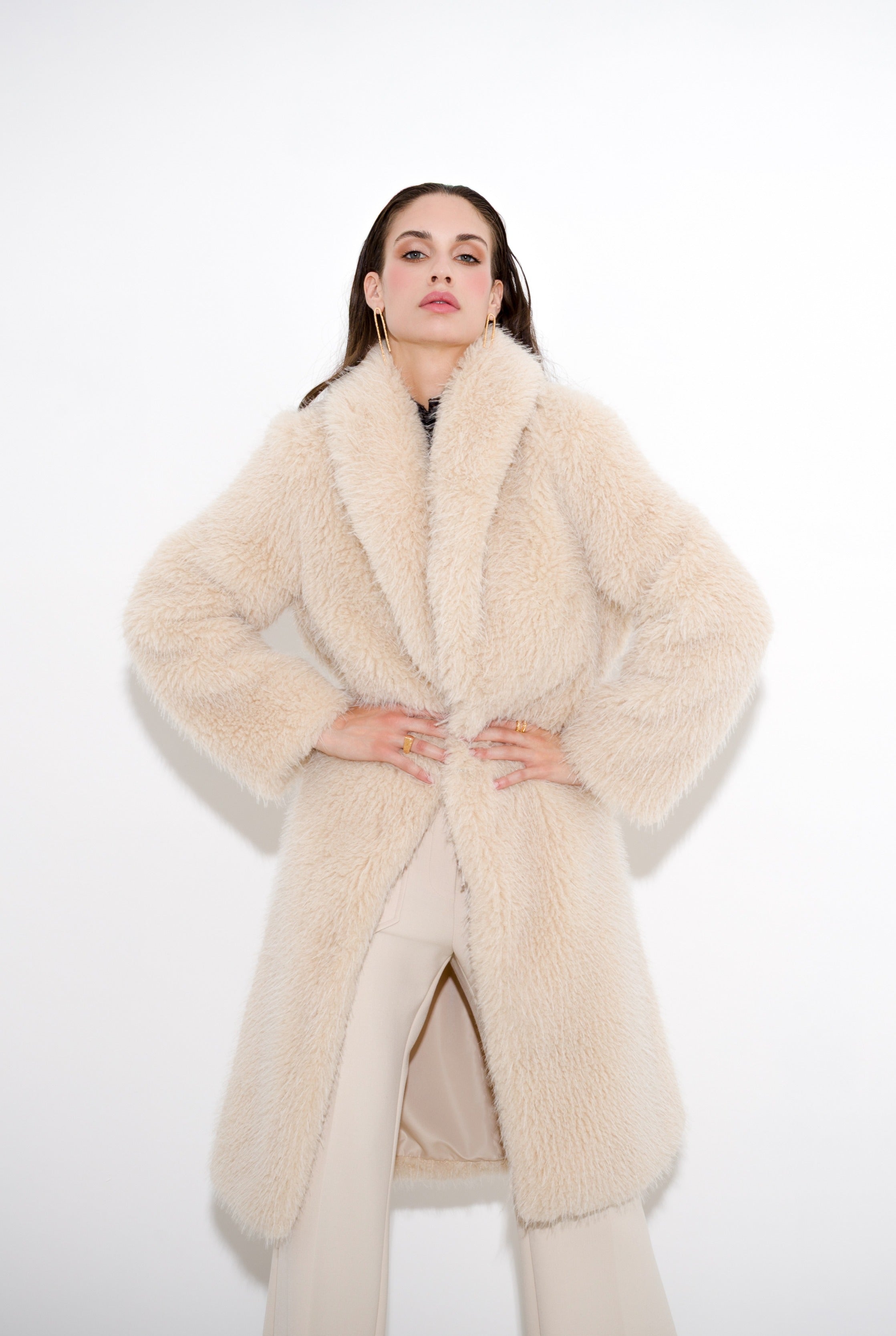alpaca2222222222.jpg
